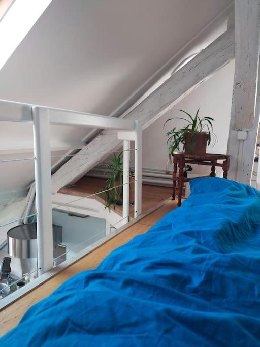Studio Sous Les Toits Et Mezzanine - 뱅센 외부 사진