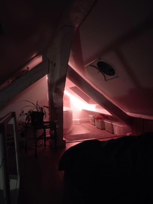 Studio Sous Les Toits Et Mezzanine - 뱅센 외부 사진